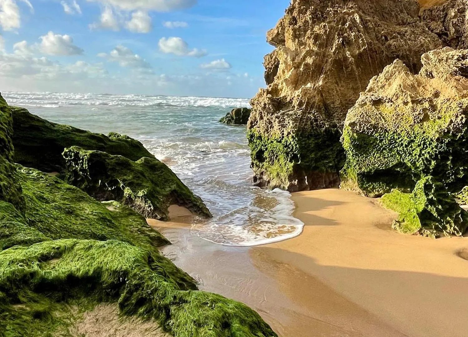 California Dream Inn Aljezur 3*,