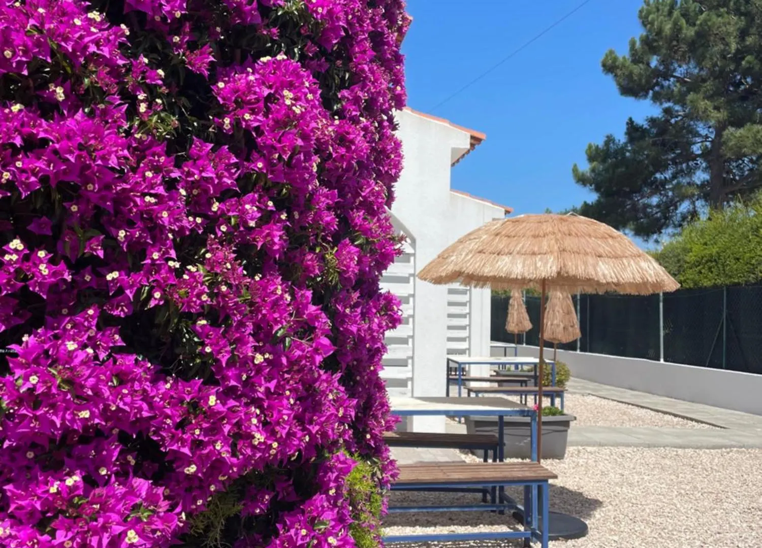 California Dream Inn Aljezur Prázdninový areál