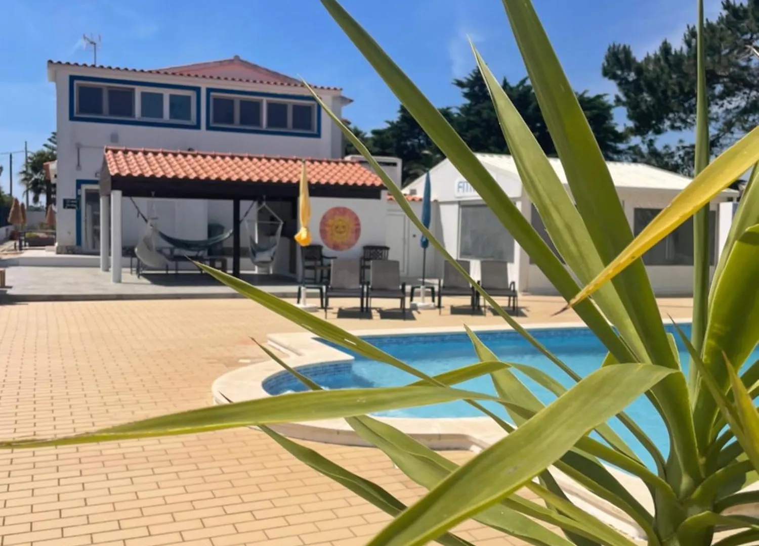 California Dream Inn contacts